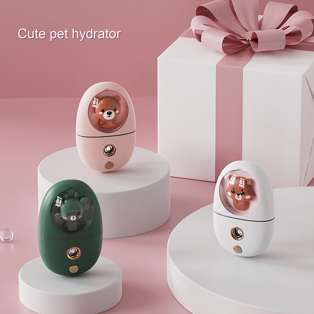 Mini umidificatore facciale da - Face Steamer recensione e prezzo